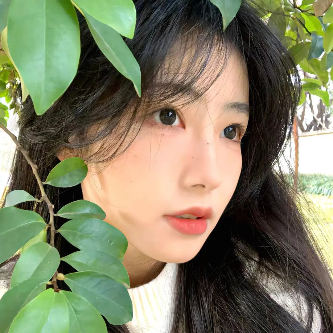 为什么害我 在线观看